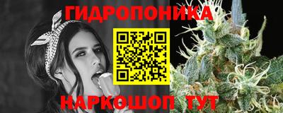 гашишное масло Будённовск