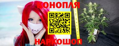 гашишное масло Будённовск