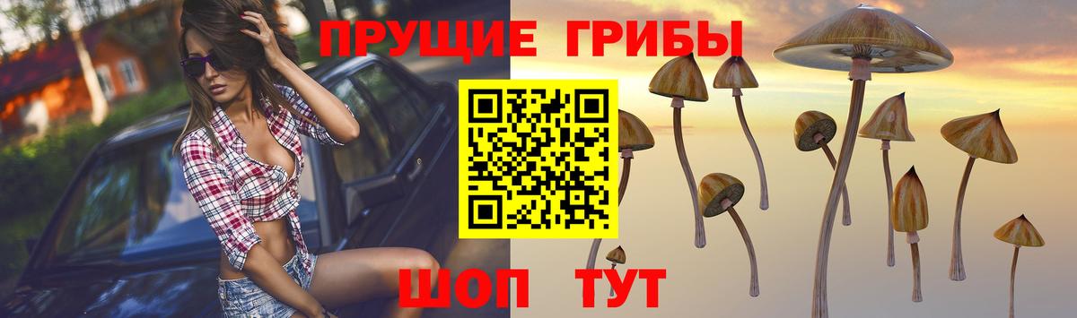 Галлюциногенные грибы мухоморы Арсеньев